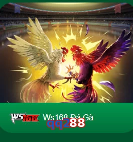 qq288